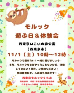 西東京市　モルックで遊ぶ日＆体験会