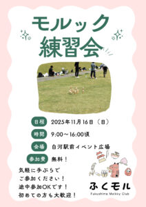 １１月１６日白河駅前練習会