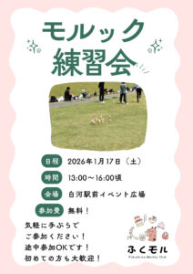 ふくモル練習会