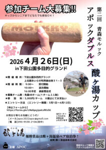 第2回青森モルックアポック個人戦酸ヶ湯カップ